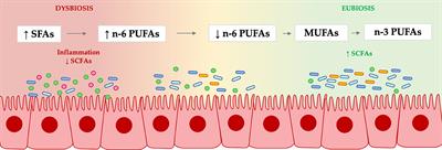 Editorial: Polyunsaturated fatty acids and gut microbiota